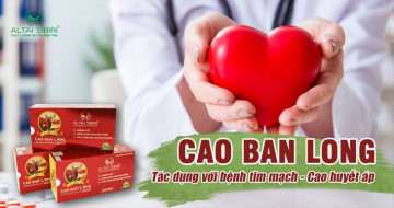 Đôi điều về tác dụng với tim mạch - huyết áp của cao ban long